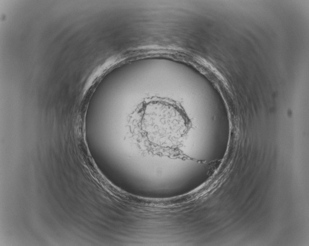 X0000081581357200702051229