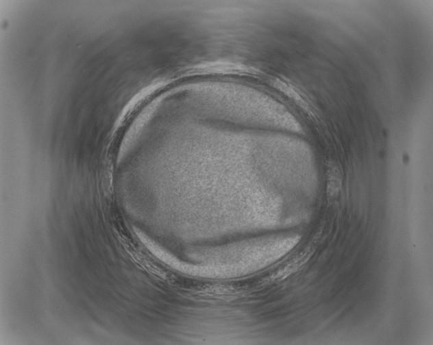 X0000081581358200702051229