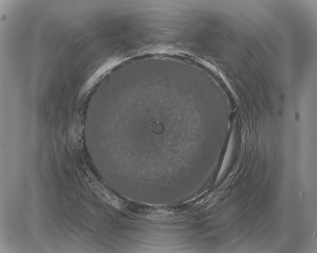 X0000081581359200702051229