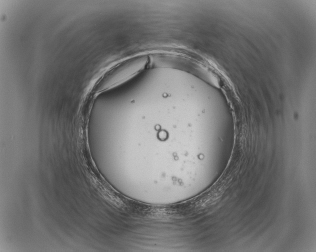 X0000081581360200702051229