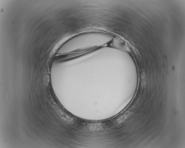 X0000081581363200702051229