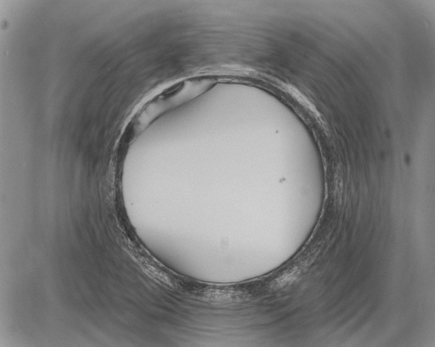 X0000081581364200702051229