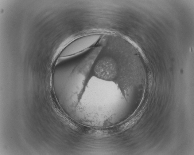 X0000081581365200702051228