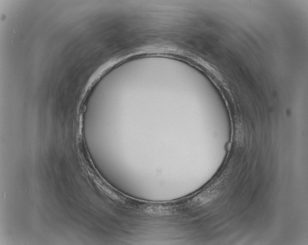 X0000081581366200702051228