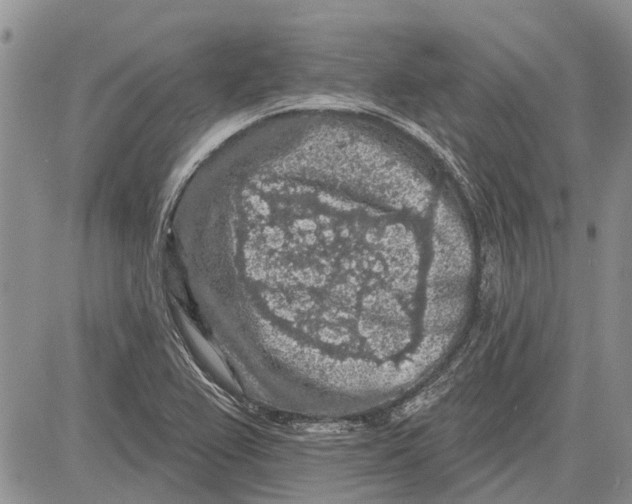 X0000081581367200702051228