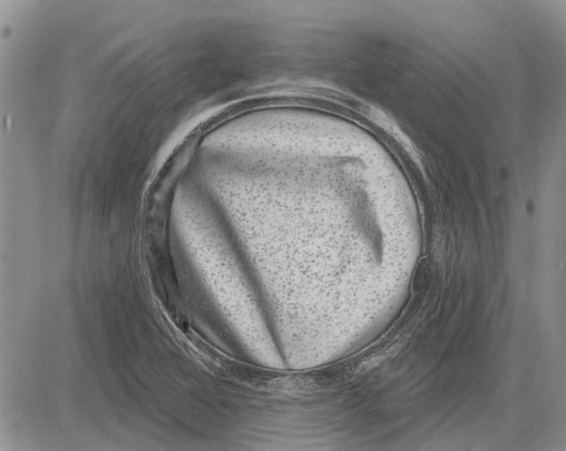 X0000081581368200702051228