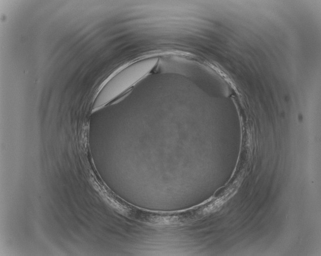 X0000081581369200702051228