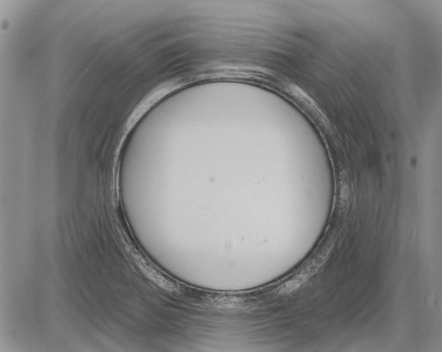 X0000081581370200702051228