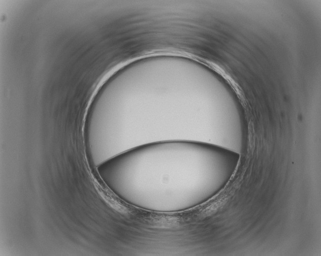 X0000081581372200702051228