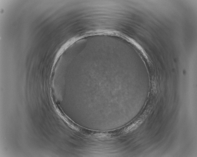 X0000081581373200702051228