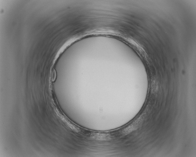 X0000081581374200702051228