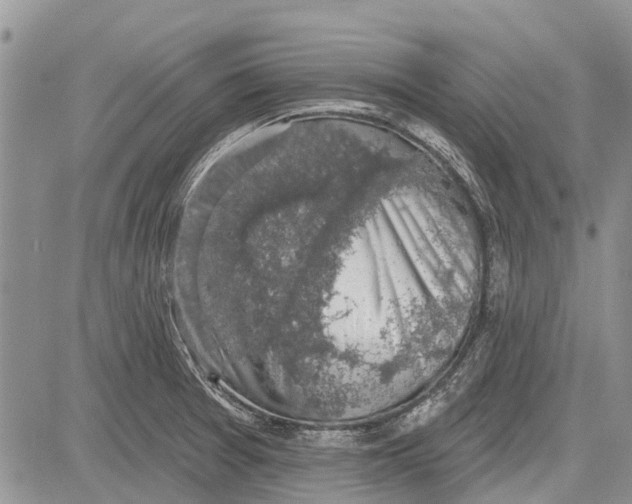 X0000081581377200702051228