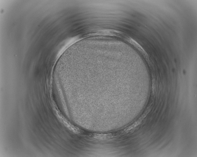 X0000081581378200702051228