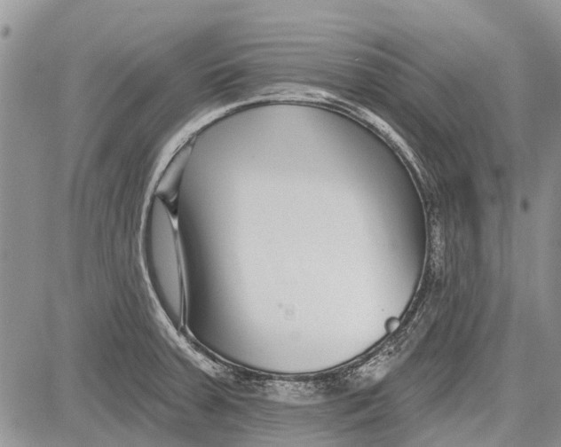 X0000081581379200702051228