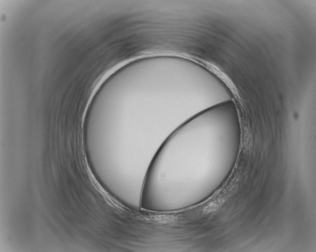 X0000081581380200702051228