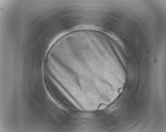 X0000081581382200702051228