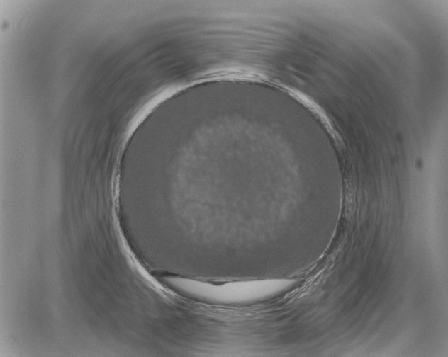 X0000081581383200702051228