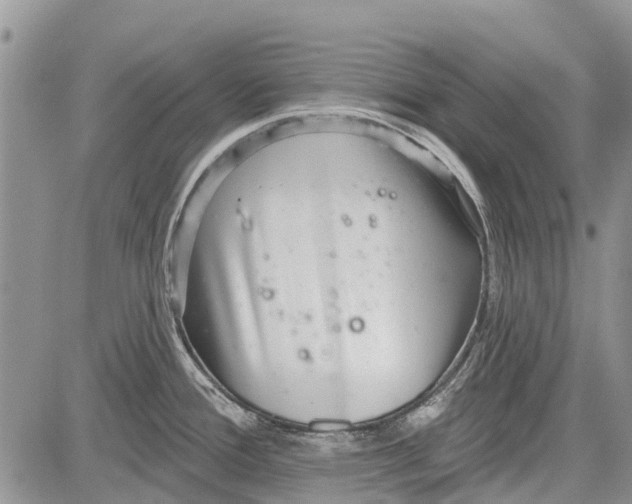 X0000081581388200702051228