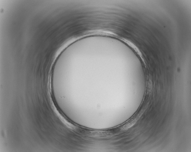 X0000081581391200702051228