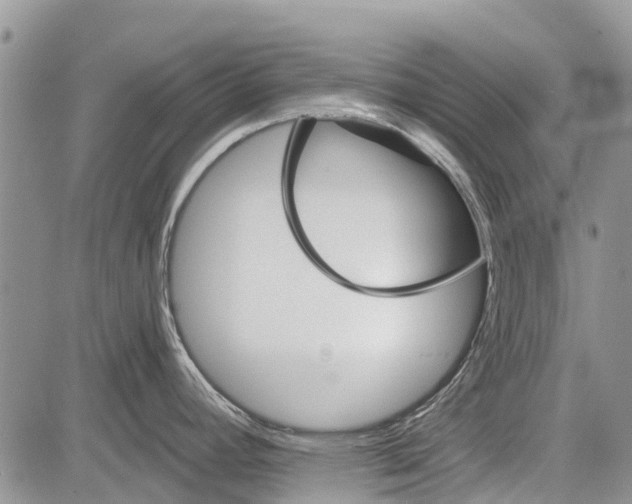 X0000081581392200702051228