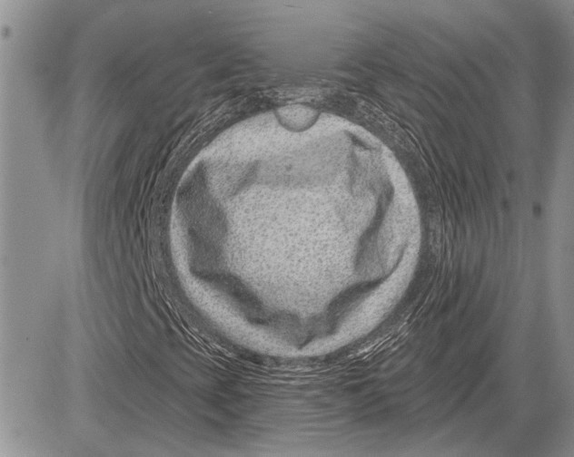 X0000081581393200702051227