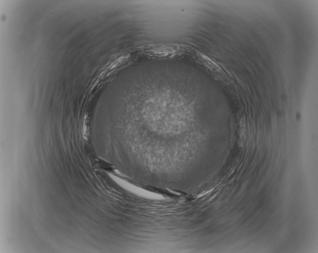 X0000081581394200702051227