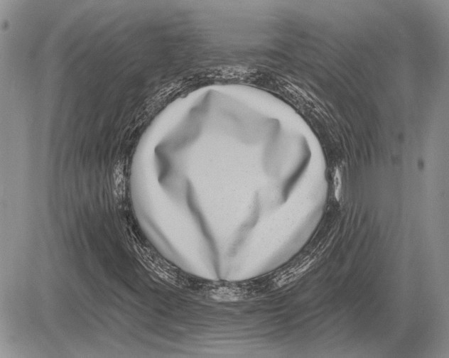 X0000081581395200702051227