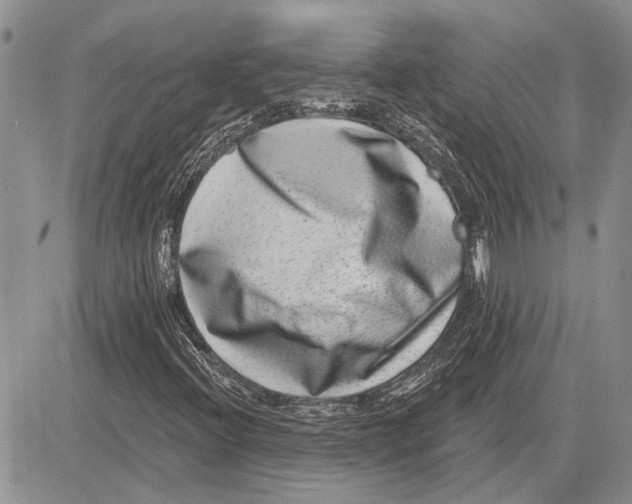 X0000081581396200702051227