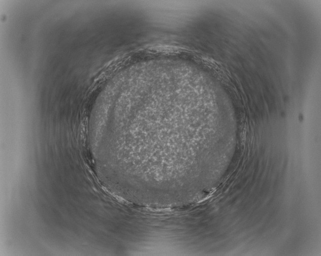 X0000081581397200702051227