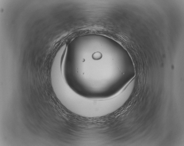 X0000081581398200702051227