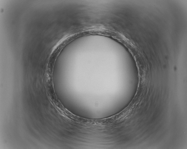 X0000081581400200702051227