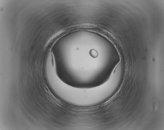 X0000081581402200702051227