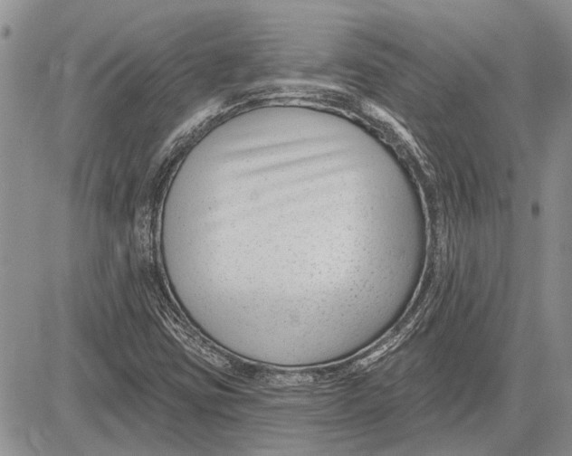 X0000081581403200702051227