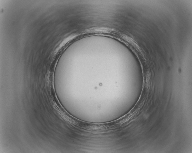 X0000081581404200702051227