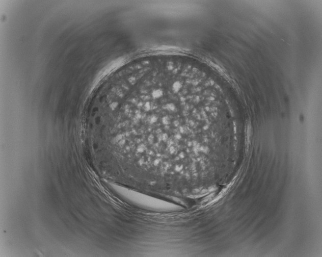 X0000081581405200702051227