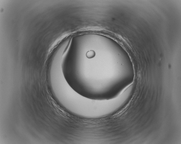 X0000081581406200702051227