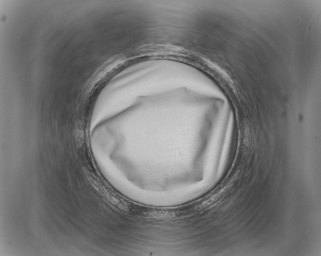 X0000081581407200702051227