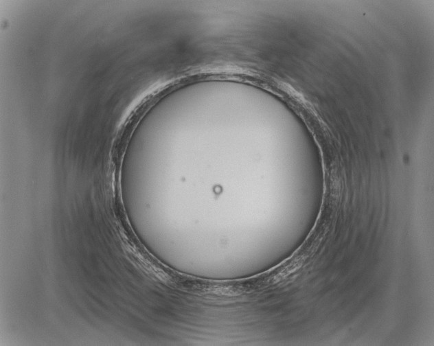 X0000081581408200702051228