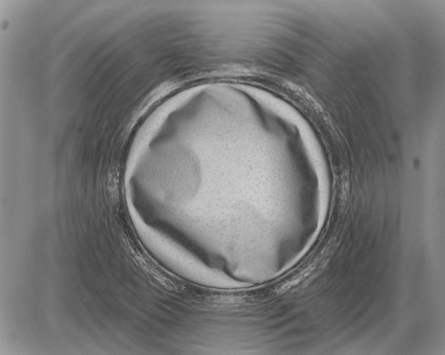 X0000081581409200702051228