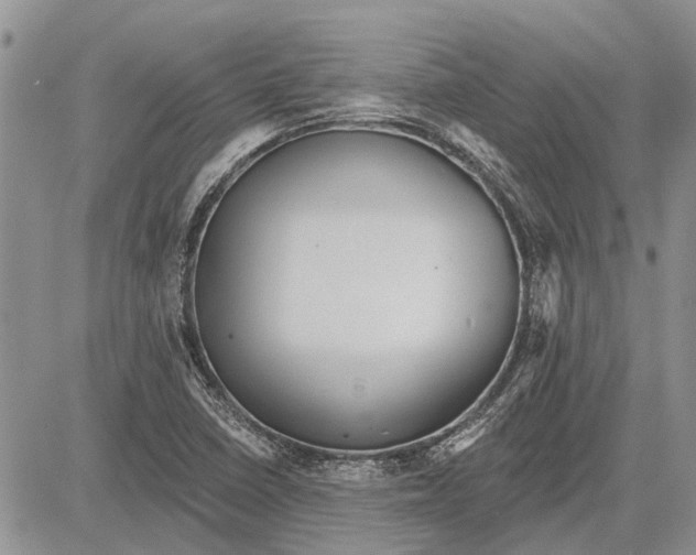 X0000081581410200702051228