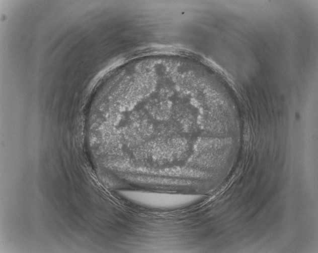 X0000081581411200702051228