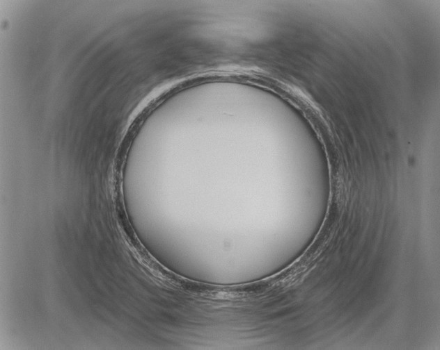 X0000081581412200702051228