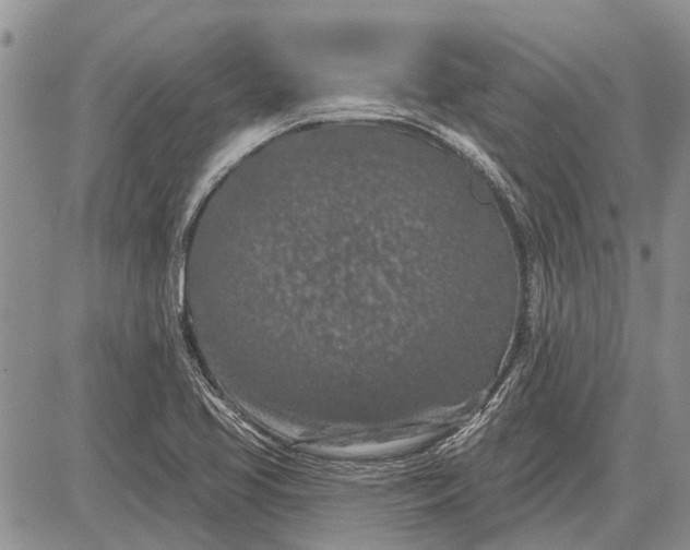 X0000081581413200702051228