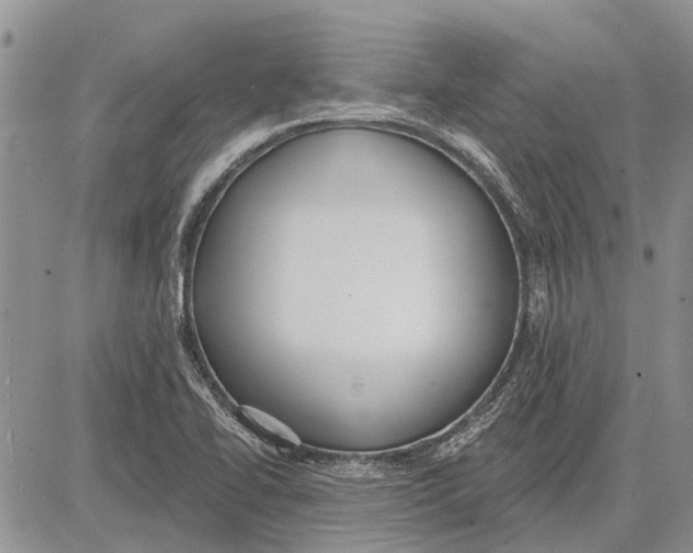 X0000081581414200702051228