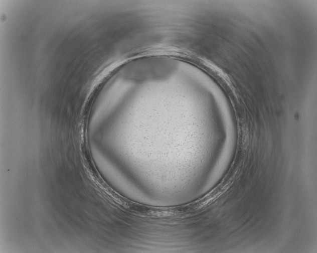 X0000081581415200702051228