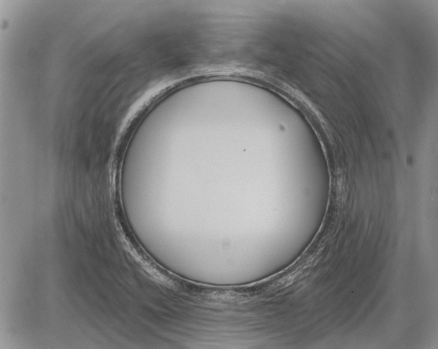 X0000081581416200702051228