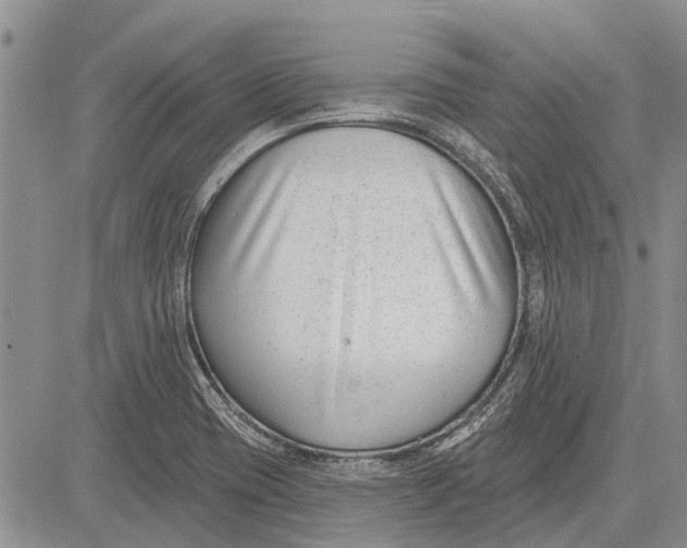 X0000081581417200702051228