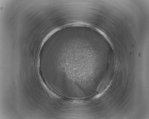 X0000081581418200702051228