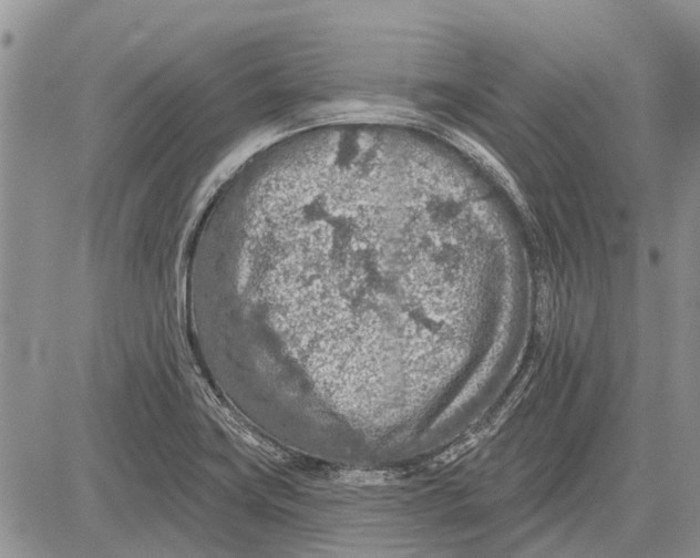 X0000081581419200702051228