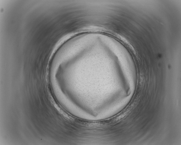 X0000081581421200702051228